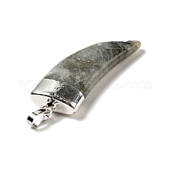 Природные подвески лабрадорита&nbsp;G-P474-04S-03