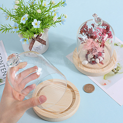 1 шт. стеклянный купол&nbsp;AJEW-SC0002-61B