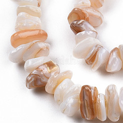 天然淡水シェルビーズ連売り  ナゲットチップス  5~11x4~7x2~5mm  穴：0.8mm  約291~313個/連  31.10インチ〜31.50インチ（79~80cm）&nbsp;SHEL-N026-210