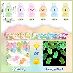 24 шт. 6-цветные светящиеся смоляные украшения в виде кроликов DJEW-TA0001-17