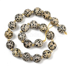 Природные яшмы далматин бисер нитей G-C249-A02-16mm
