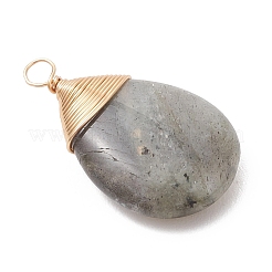 Природные подвески лабрадорита&nbsp;PALLOY-JF05086-02