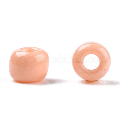 8/0 выпечка краска стеклянные бусины&nbsp;SEED-R051-07B-06