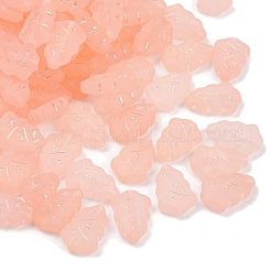 Perles en acrylique transparent mat&nbsp;OACR-P029-04B-03