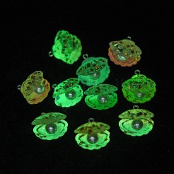 Подвески из светящейся прозрачной смолы RESI-E054-03P