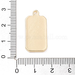タロット合金エナメルペンダント  ゴールドカラー  長方形のチャーム  ムーン  25x13x3mm  穴：2mm&nbsp;FIND-Z057-02G-01