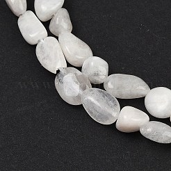 Бусины из натурального радужного лунного камня G-G018-48-01