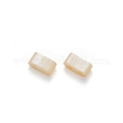 Perles de verre à peinture cuite à 2 trou fgb&nbsp;SEED-S031-M-593
