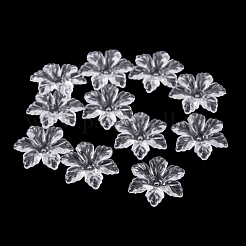 Trasparenti protezioni del branello acrilico&nbsp;TACR-G050-04C
