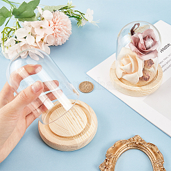 Стеклянный купол&nbsp;AJEW-SC0001-61A