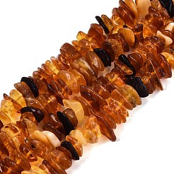 Perles d'ambre naturel brins&nbsp;G-N371-22A-01