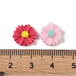 Leuchtende Decoden-Cabochons aus Harz&nbsp;RESI-K036-08C