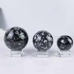 Ископаемый хрустальный шар из натуральной оболочки PW-WG4EAD1-01