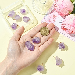 10 шт. Подвески из натурального аметиста&nbsp;PALLOY-CJ00158