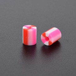 Feste gemischte 5-Stil handgefertigte Fimo-Perlen&nbsp;CLAY-S096-012E