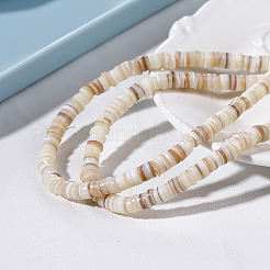 Shell perle naturali fili&nbsp;BSHE-WH0013-01