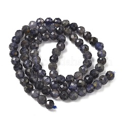 Природные иолит нитей бисера G-J400-E05-02B