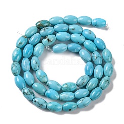 Природные Говлит бисер нитей G-H025-02B