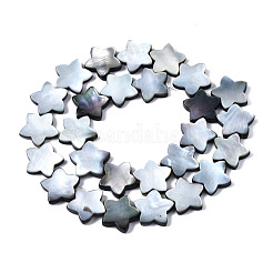 天然ブラックリップシェルビーズ連売り  スター  13.5x14x3mm  穴：1mm  約26個/連  12.80インチ（32.5cm）&nbsp;SHEL-N026-155