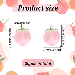 30 Stück transparente Harzanhänger&nbsp;RESI-OC0001-46