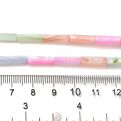 Нити бусин из натуральных пресноводных ракушек&nbsp;SHEL-G018-02B