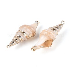 Galvanische natürliche Spiralschalenanhänger&nbsp;SSHEL-T018-03