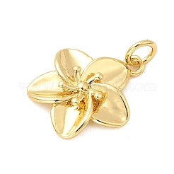 Латунные подвески&nbsp;KK-A266-14G