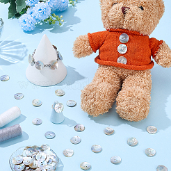 100 Stück natürliche Muschelknöpfe&nbsp;BUTT-PH0001-72