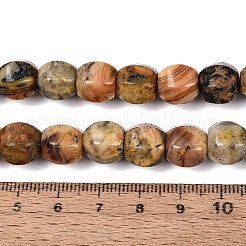Fili di perline agata pazzesco naturale&nbsp;G-Q608-08A-05
