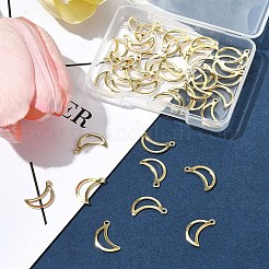 40 шт. подвески из нержавеющей стали 304&nbsp;STAS-FS0001-51