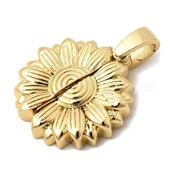 Pendenti in ottone apribili&nbsp;KK-A296-45B-G