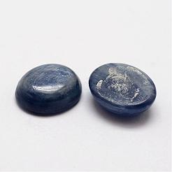 Cabochon ovali naturali cianite / cianite / distene&nbsp;G-O147-01D