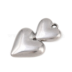 Anhänger aus Edelstahl 304&nbsp;STAS-D264-06F-P