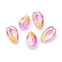 Charms in vetro trasparente&nbsp;GLAA-H016-12L-3