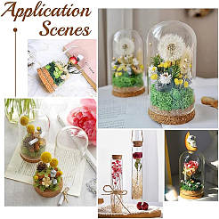 20 комплект стеклянного купола&nbsp;AJEW-BC0003-54C