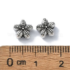 Сплавочные овальные бусины тибетского стиля &nbsp;TIBEB-F065-01AS-03