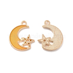 Подвески из эмали и сплава&nbsp;ENAM-S121-061-G