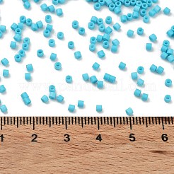 Perles de rocaille en verre&nbsp;X-SEED-S042-05B-58