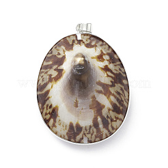 Натуральные морские раковины большие подвески SHEL-F005-05P