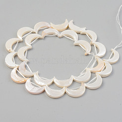 Гальваническое покрытие нитей бусин из натуральных пресноводных раковин SHEL-T017-16D