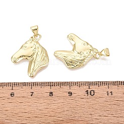 Messing Anhänger & Charms&nbsp;KK-N287-45C-G