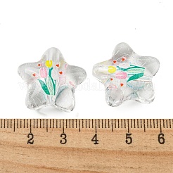 Прозрачные акриловые шарики печатных OACR-H124-02B