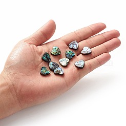 Perles coquille d'ormeau / coquille de paua&nbsp;LS-SHEL-T005-01