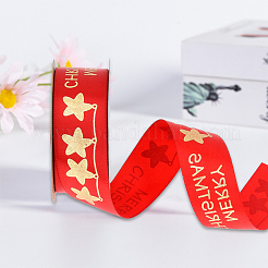 Полиэфирная лента SRIB-P018-B02