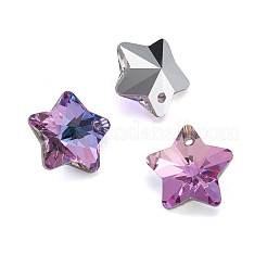 K9 Glas Strass Charms&nbsp;X-GLAA-TA001-007