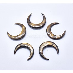 Cabochon shell&nbsp;SSHEL-P015-79-35mm-M