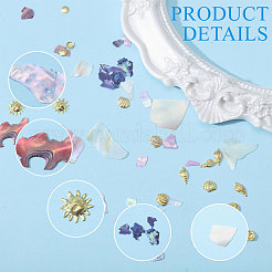 Тема океана 3 комплект 3 стиля раковина абалон/ракушка пауа/сплав чипсы&nbsp;MRMJ-CA0001-52