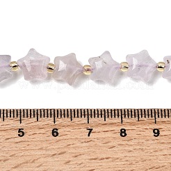 Природный аметист нитей бисера G-Z080-A29-10mm