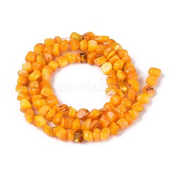 Нити бусин из натуральных пресноводных ракушек&nbsp;SHEL-N037-04G