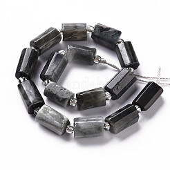 Натуральные ястребы X-G-S345-8x11-009